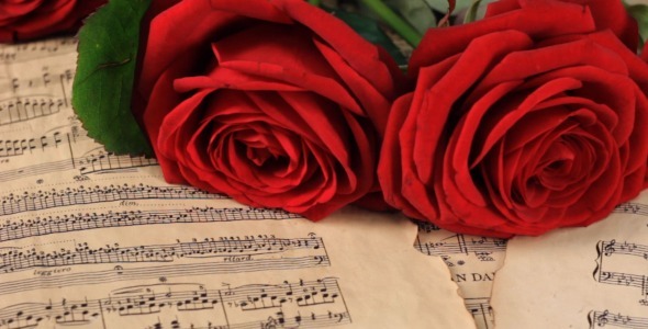 Red Roses on Vintage Sheet Music by Vintervarg | VideoHive

