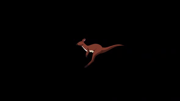 Running australian kangaroo long shot alpha matte animation
