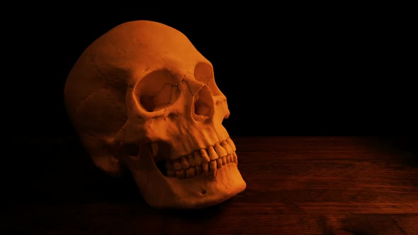 Skull In Firelight In Dark Room alt