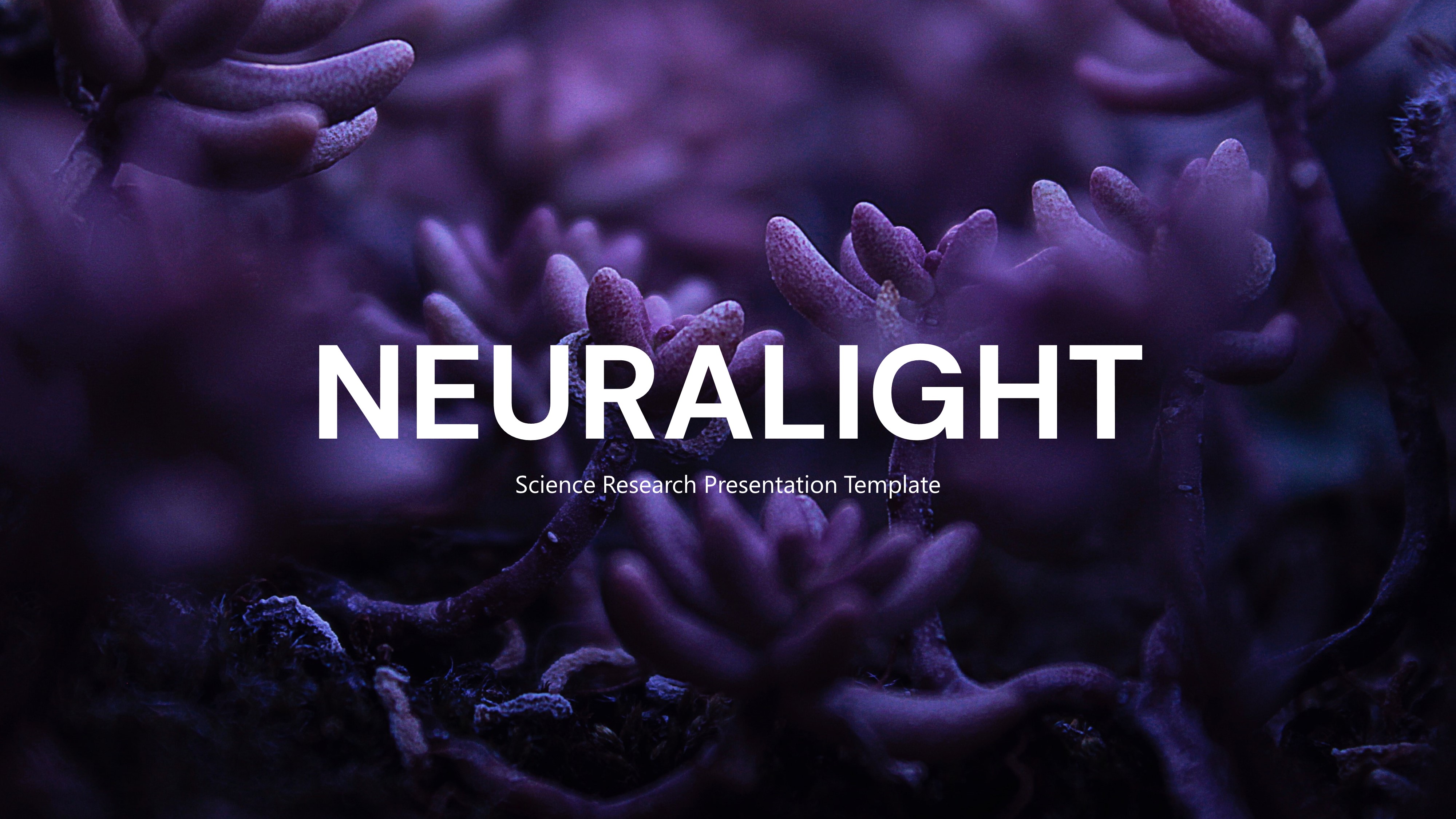 Neuralight - Science and Research Keynote Presentation Template ...