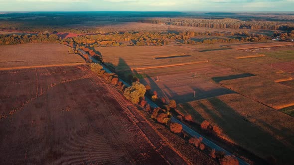 Bright video of village in golden evening sunlight