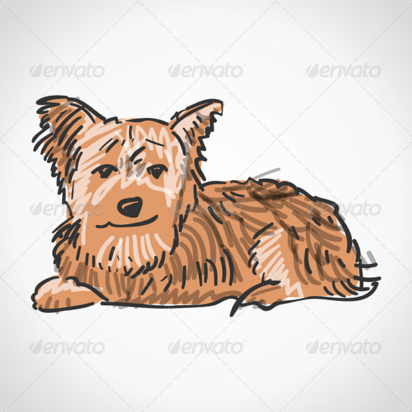 Sitting Yorkshire Terrier - Animals Characters