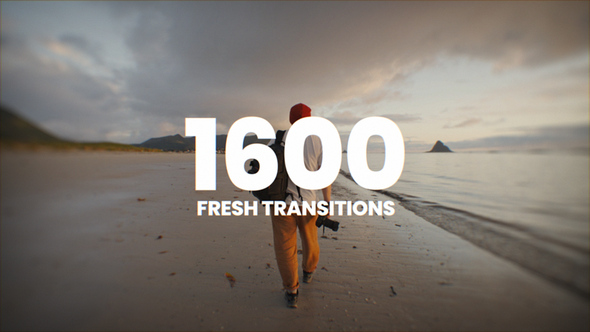 1600+ Fresh Transitions