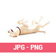 3D Cartoon Dog Lying on his Back with Paws in the Air 