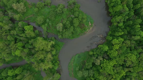 River Delta River Meander Inland Dron Aerial Video Shot in Floodplain Forest and Lowlands Wetland