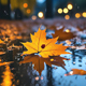 Autumn Piano Rain