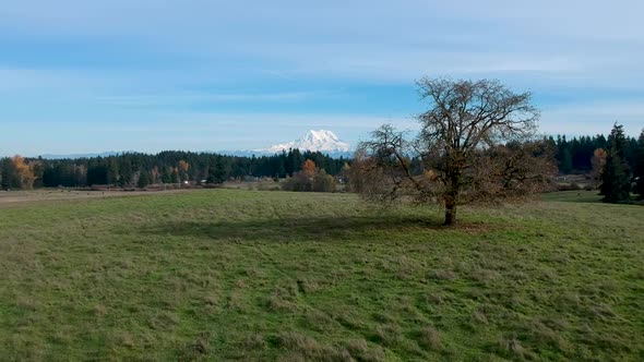 A beautiful crisp fall day in Washington State.  Ariel footage of green pasture with the snow-capped alt