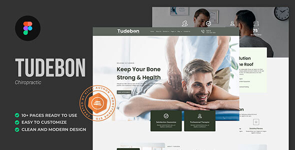 Tudebon - Chiropractic & Physiotherapy Figma Template