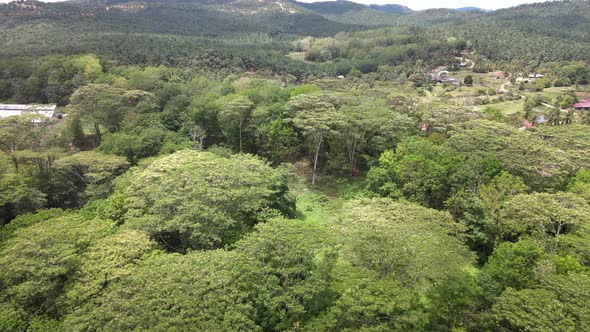 Aerial view of forest, farms, village and hills in Alor Gajah, Malacca