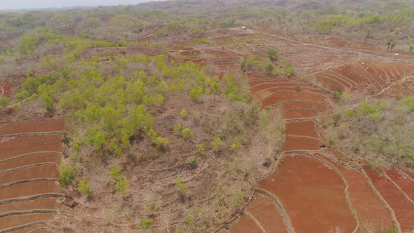 Agricultural Landscape in Asia alt