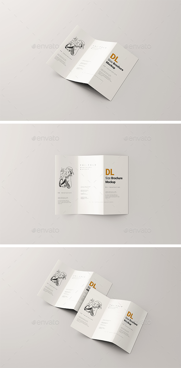 DL Tri-Fold Brochure Mockup
