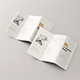 DL Tri-Fold Brochure Mockup