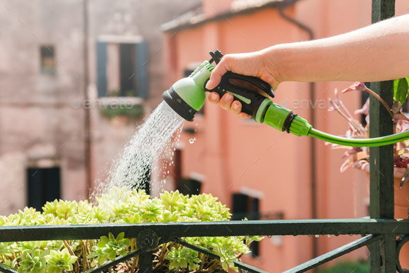 Female hand with watering sprayer to water the plants