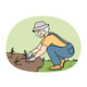 Smiling Elderly Woman Plant Seedlings 
