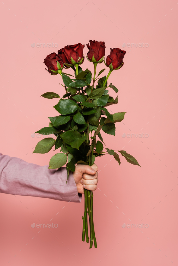 Cropped view of host of event in jacket holding bouquet of red roses isolated on pink