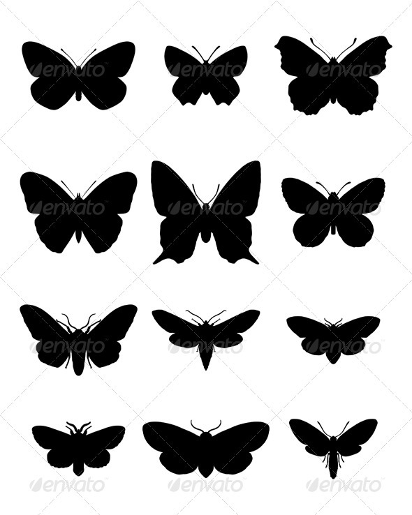 Butterfly and moth silhouettes - Animals Characters