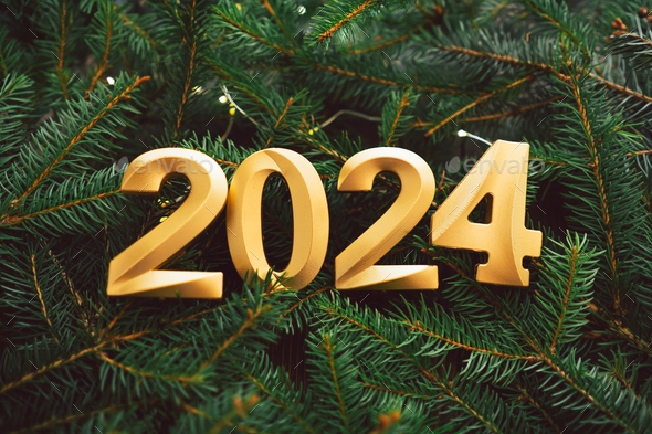 Happy New Years 2024. Many Christmas tree branches. Stock Photo by