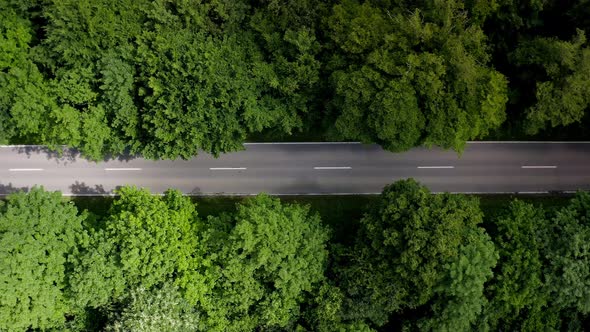 Fly by shot from a drone, following a white car in the middle of a forest street from the above aeri alt