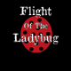 Flight Of The Ladybug