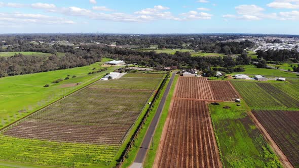 Aerial View of a Plantation in Australia