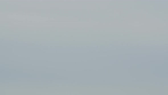 The Hungarian Parliament Building  alt