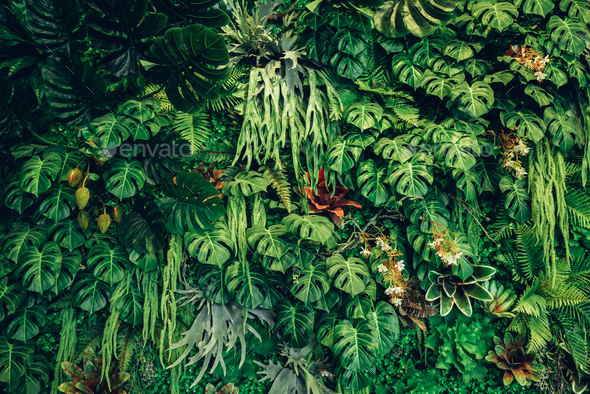 Group of background tropical green leaves texture. Natural green ...