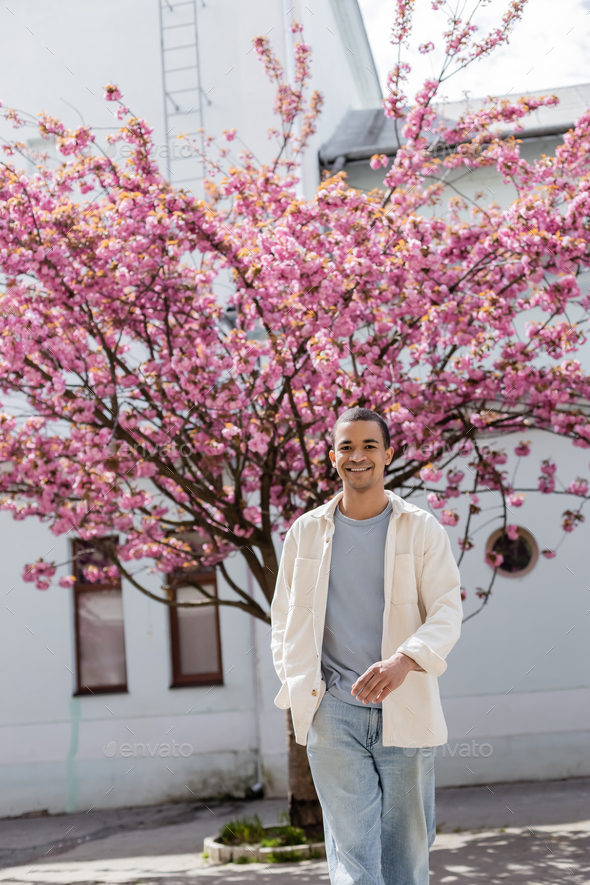 cheerful african american man in shirt jacket walking with hand in pocket near japanese cherry tree