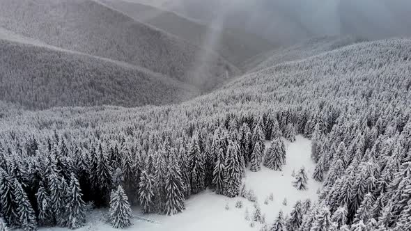 Drone Flying Through Falling Snow over Mountain Valley