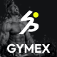 Gymex – Supplement & Nutrition WooCommerce Theme 