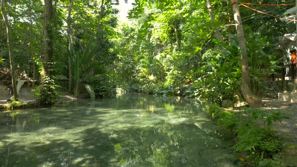 The gardens of the Mystic Mountain in Jamaica alt
