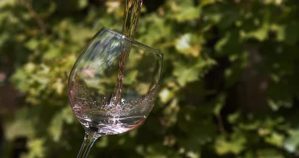 Pink Wine being poured into Glass, Slow motion 4K