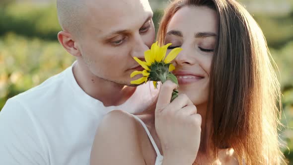 Romantic Man Kissing Girlfriend with Sunflower in the Field on Sunset alt