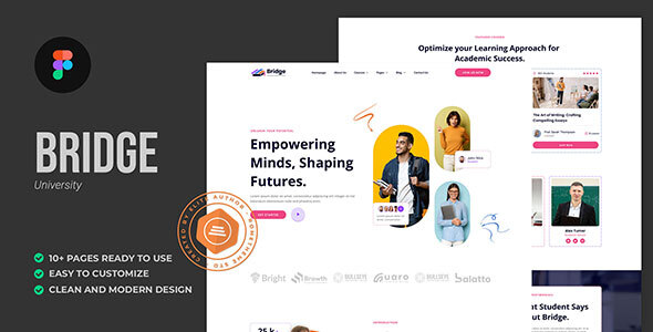 Bridge - University & School Education Figma Template