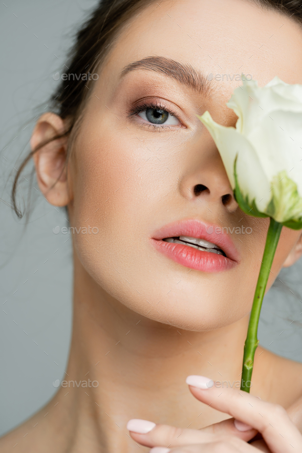 portrait of sensual woman obscuring face with white rose while looking at camera isolated on grey