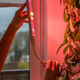Woman installing phyto lamp at home to grow plants in winter time, hand close-up. - PhotoDune Item for Sale