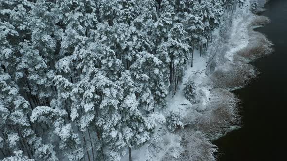 Winter Wonderland Aerial View