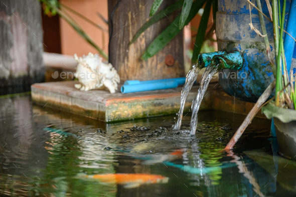 Water flowing circulation system with koi fish in pond