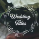 Minimal Wedding Titles - VideoHive Item for Sale