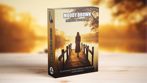 Cinematic Moody Brown Video Color Grading LUT