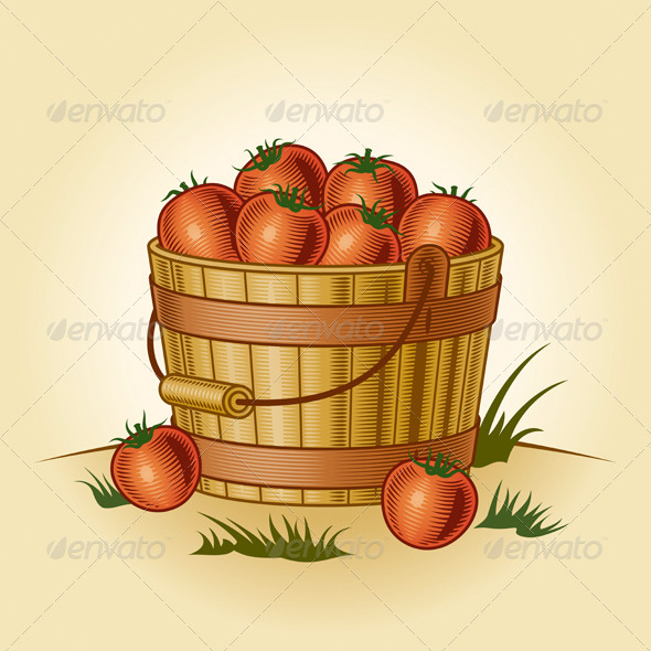 Retro Bucket Of Tomatoes - Food Objects