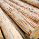A close-up photograph of a pile of rough-textured wooden logs stacked on top of each other. Sawmill - PhotoDune Item for Sale