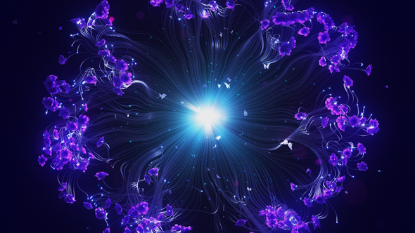 Floral Ident Logo Stings template preview