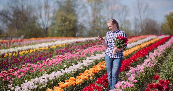 Woman Holding Tulips Bouquet in Hands While Taking Selfie Photo on Tulips Field alt