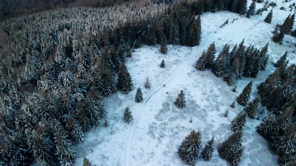 Drone Flying Above Frozen Forest Unveiling Mountain Top in Winter