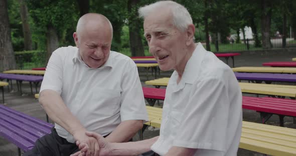 Two Modest Older Men Shaking Hands with Smiles on Faces During Talk in a Park alt