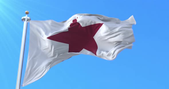 California Lone Star Flag alt