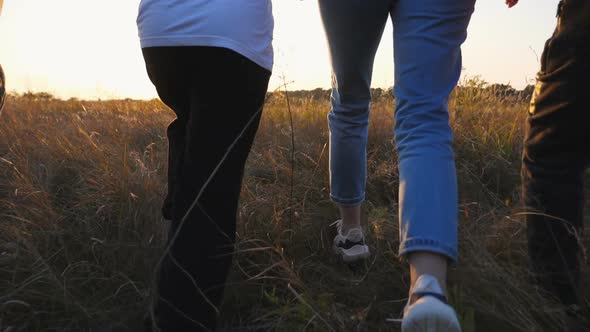 Happy Parents with Children Jog Through Grass Field Holding Hands of Each Other at Sunset alt