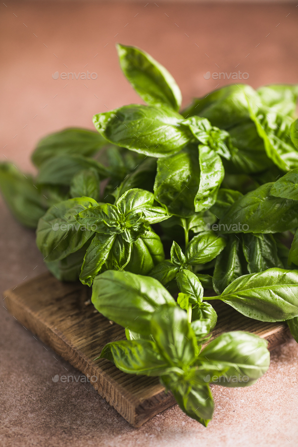 Fresh green sweet basil leaves