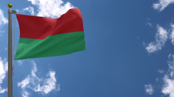 La Paz Flag (Bolivia) On Flagpole alt