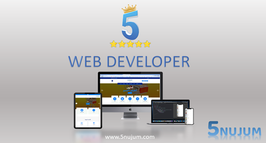 WEB DEVELOPER